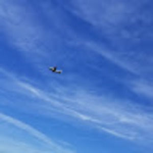 Meet your Posher, Raider